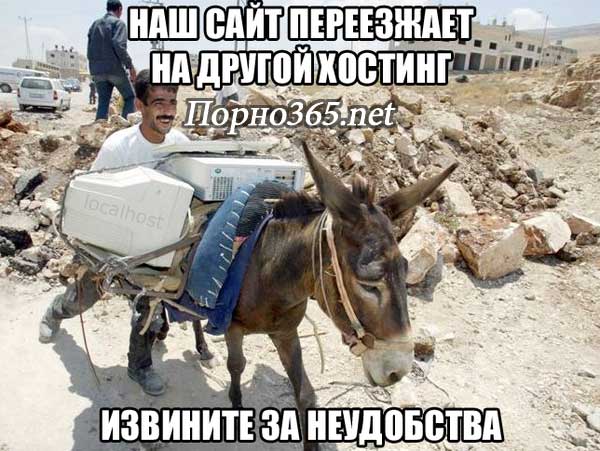 Обновлённый ru.porno365.best!!!